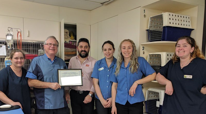 You are currently viewing February – Whyalla Veterinary Clinic