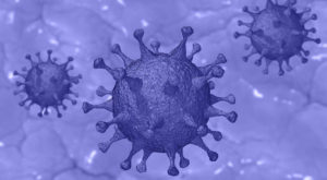 Read more about the article Coronavirus Information and fact sheet
