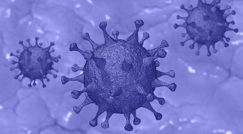 You are currently viewing Coronavirus Information and fact sheet